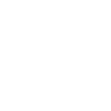 noun_gauges_491225_ffffff